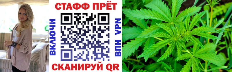 Сколько стоит Зеленогорск Альфа ПВП  Меф мяу мяу  Cocaine  Галлюциногенные грибы  Каннабис  ГАШ 