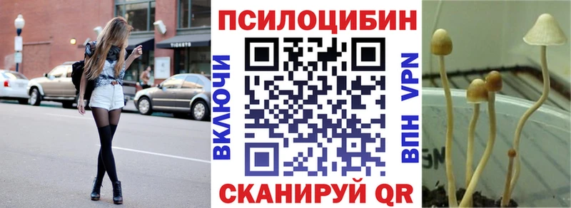 где продают   Зеленогорск  Галлюциногенные грибы GOLDEN TEACHER 
